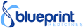 blueprint medicines company logo
