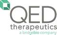 QED  company logo