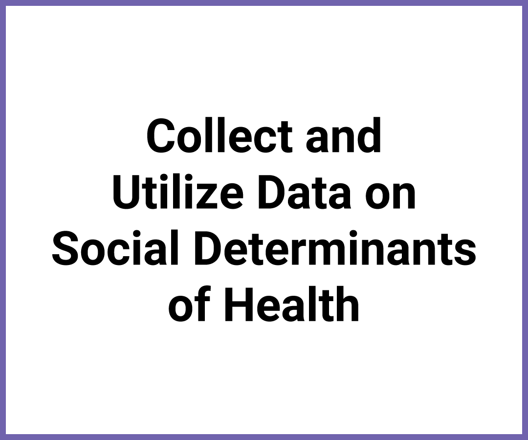 Collect and Utilize Data on Social Determinants of Health