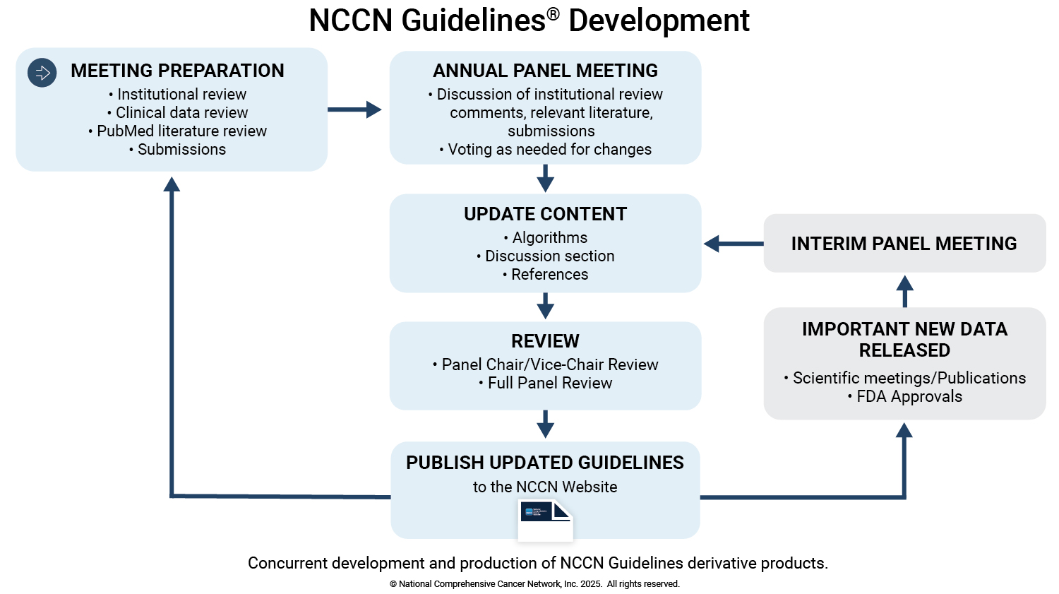 Guidelines Process 2025